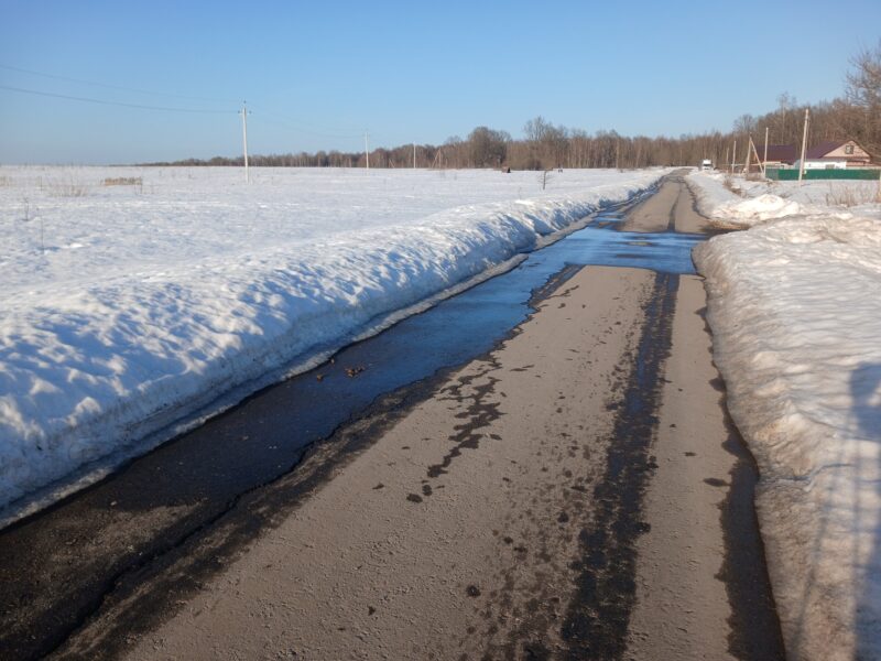 Автодорога (лыжероллеры) Н Горбово — Лызлово, состояние на 15 марта 2026 по отзыву, фото 1. 